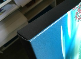 Canvas Art Prints